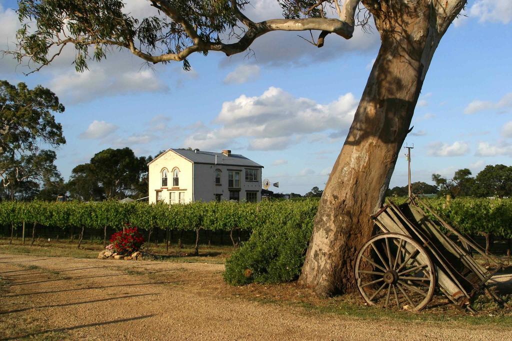 Highbank Country Accommodation Coonawarra Exterior foto