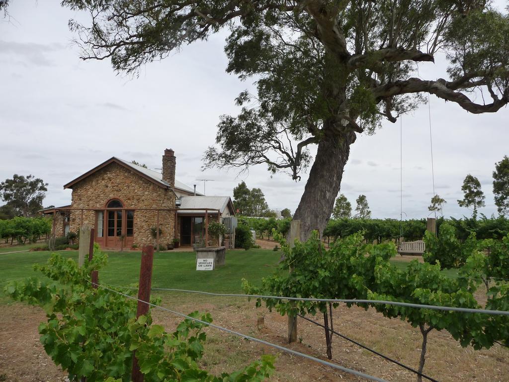 Highbank Country Accommodation Coonawarra Exterior foto