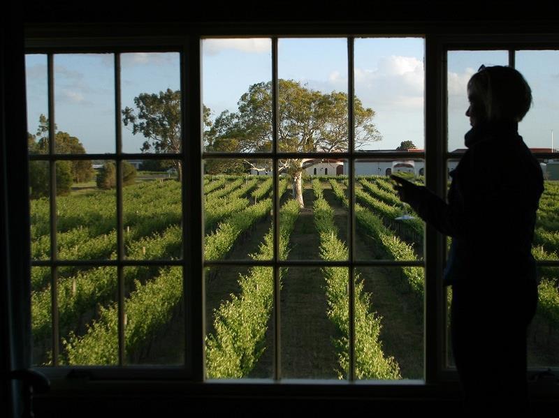 Highbank Country Accommodation Coonawarra Exterior foto